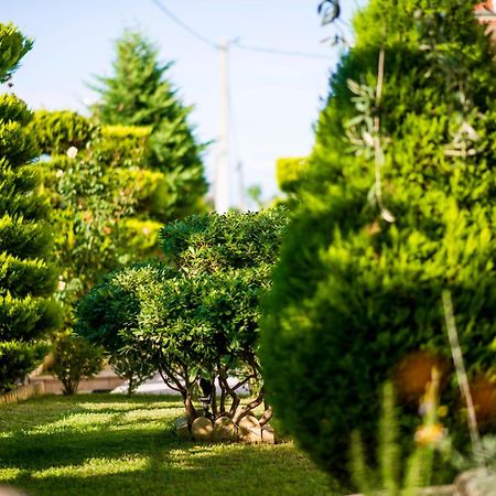 Mandani Villa Luxury Apartments ลีเมนาส ภายนอก รูปภาพ